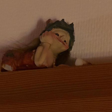 Trollhus - Grosses Familienfreundliches Ferienhaus Борн Екстер'єр фото