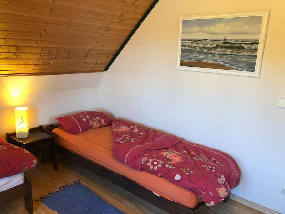 Trollhus - Grosses Familienfreundliches Ferienhaus Борн Екстер'єр фото