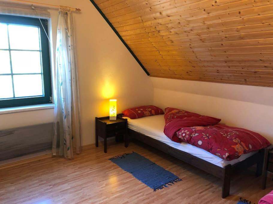 Trollhus - Grosses Familienfreundliches Ferienhaus Борн Екстер'єр фото