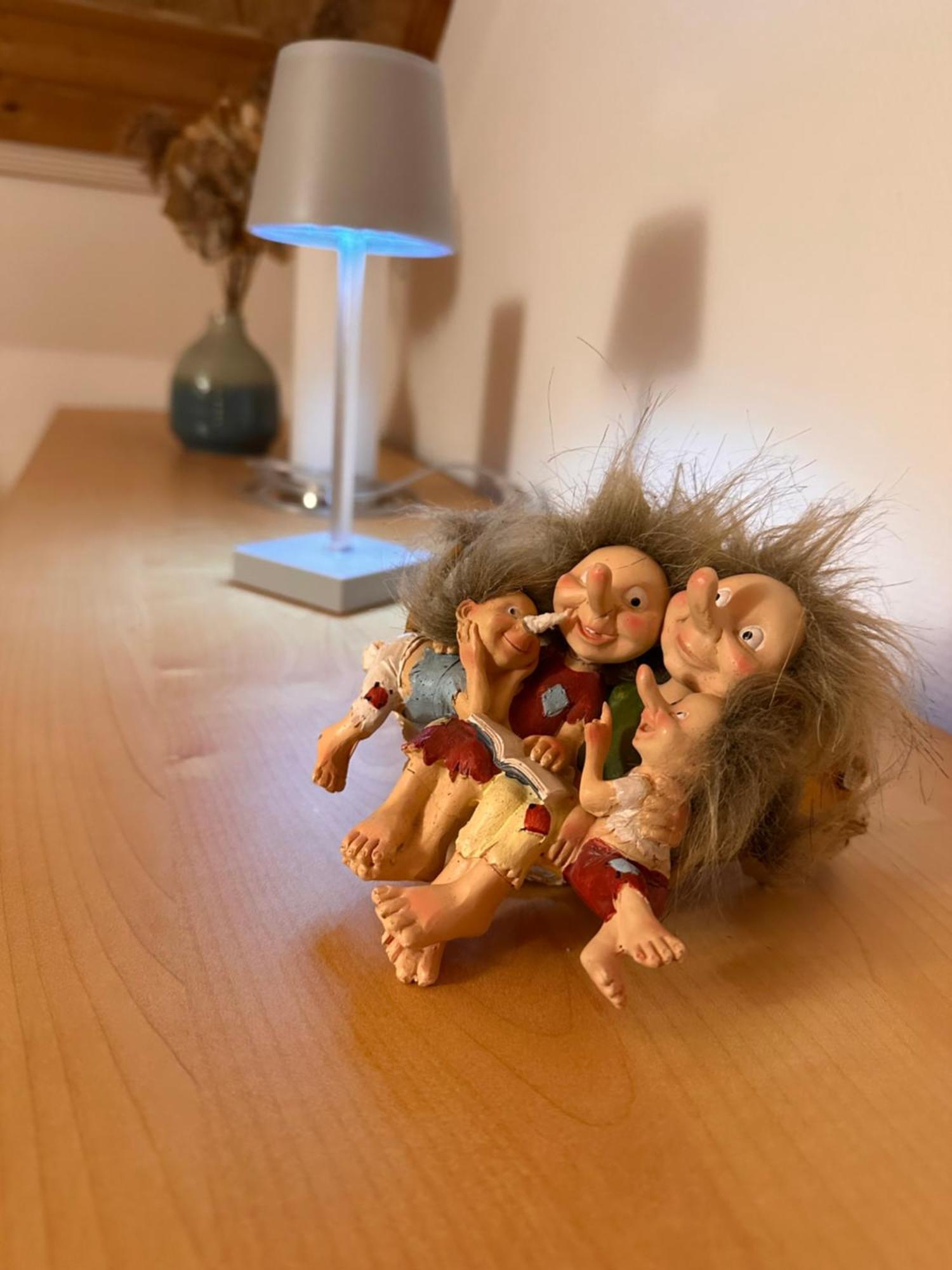 Trollhus - Grosses Familienfreundliches Ferienhaus Борн Екстер'єр фото